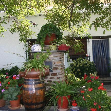Apartamentos Y Casas Rurales Las Terrazas De La Alpujarra Bubión Exteriör bild